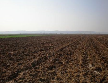2010_1.jpg