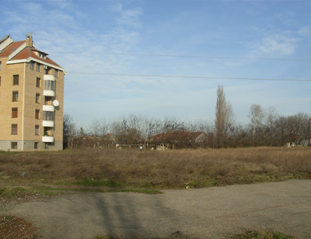 2313_1.jpg
