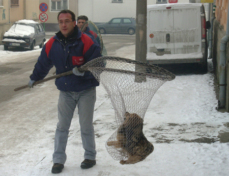 2455_4.jpg