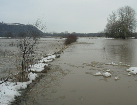 2510_2.jpg