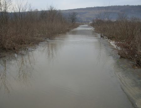 2528_2.jpg