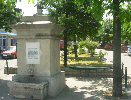 2699_8.jpg