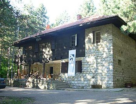 2771_1.jpg