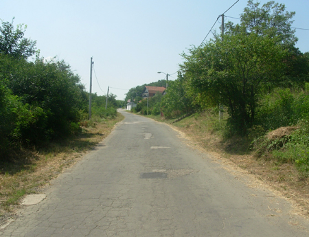 2773_2.jpg