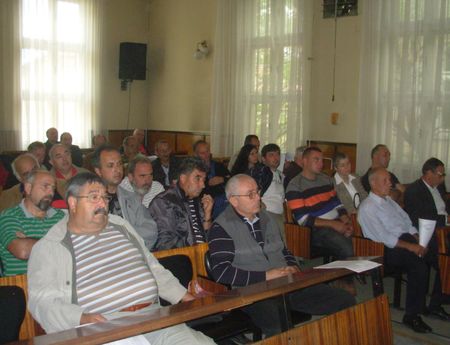 2903_3.jpg