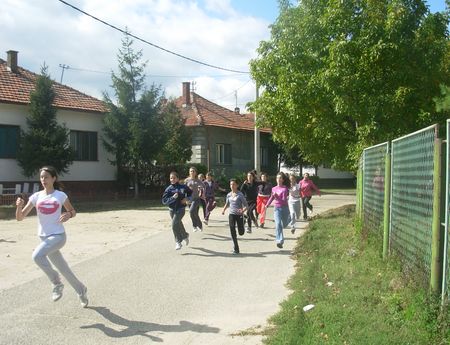 2915_3.jpg