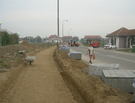 2955_1.jpg