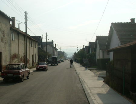 2967_2.jpg