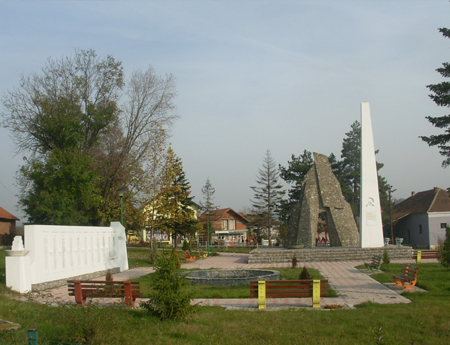 2969_5.jpg