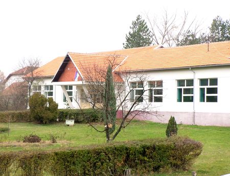 2988_1.jpg