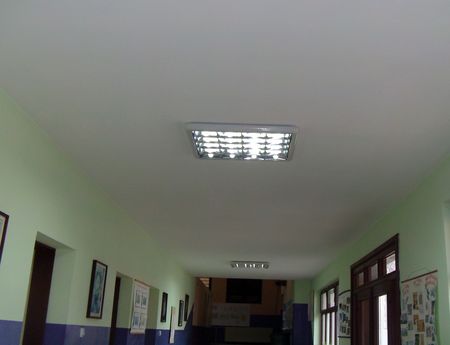 2988_4.jpg