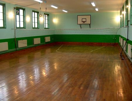2988_5.jpg