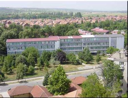 3155_1.jpg