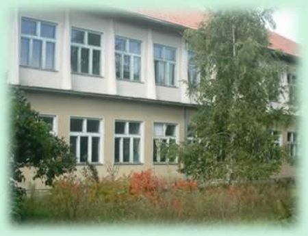 3207_1.jpg