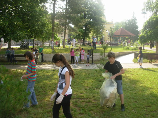 3229_2.jpg