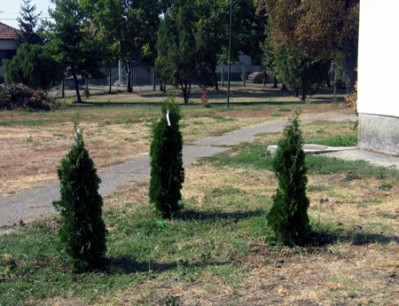 3402_1.jpg