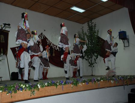 3467_3.jpg