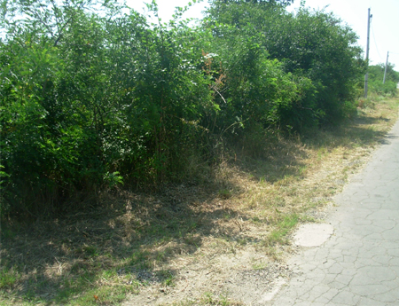 2783_1.jpg