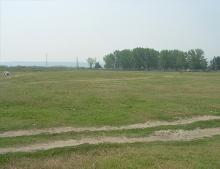 2786_1.jpg